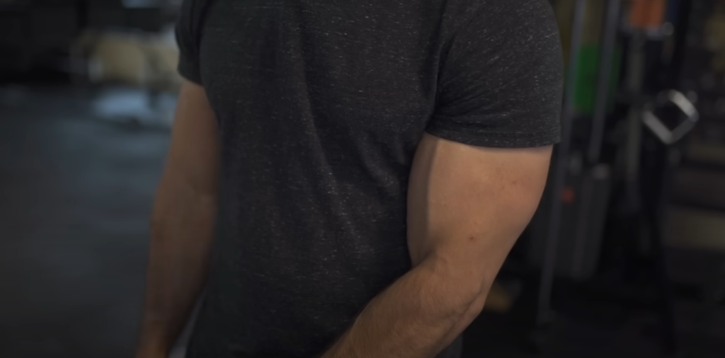 What is the Brachialis Muscle?