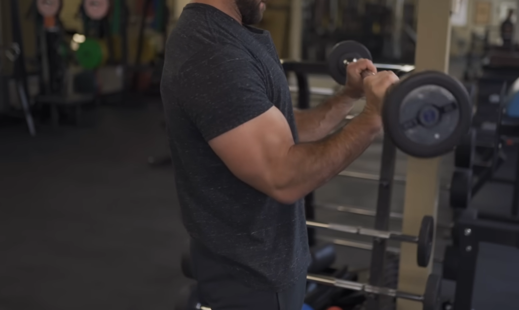 Is the Brachialis Fast or Slow Twitch?