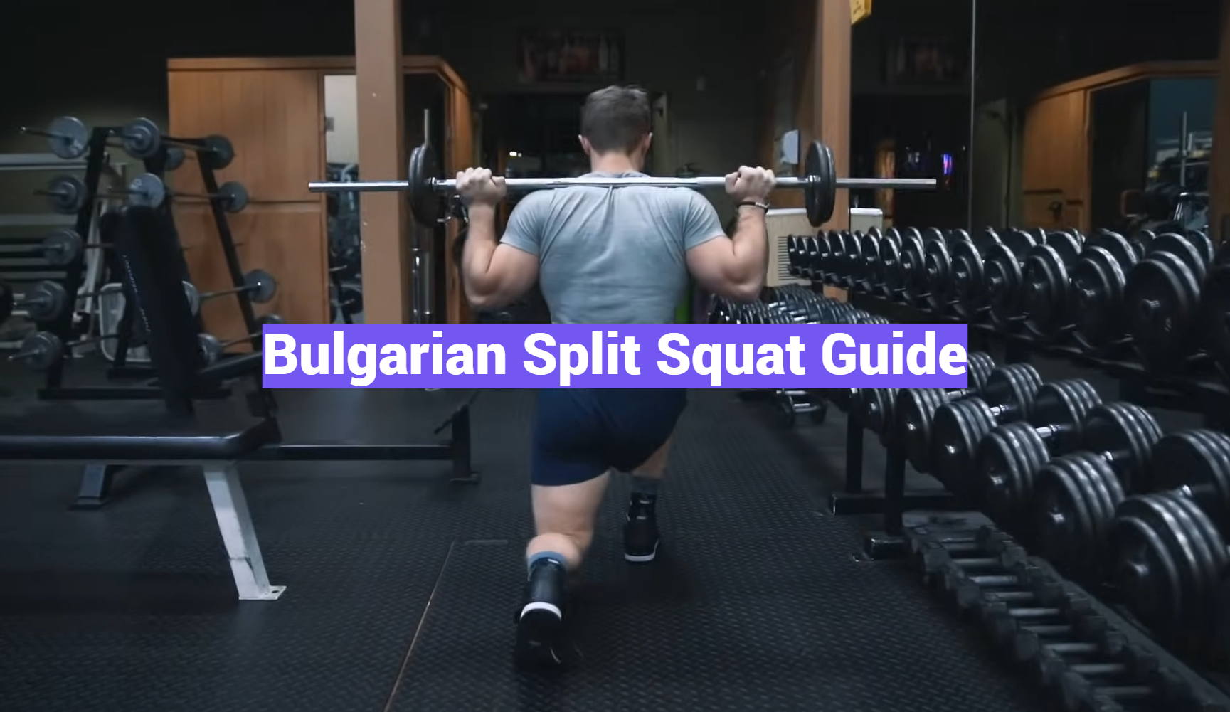 Bulgarian Split Squat Guide
