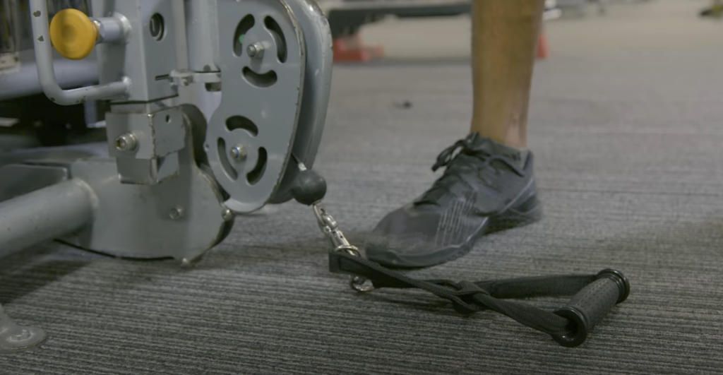 Examples of Cable Shoulder Exercises