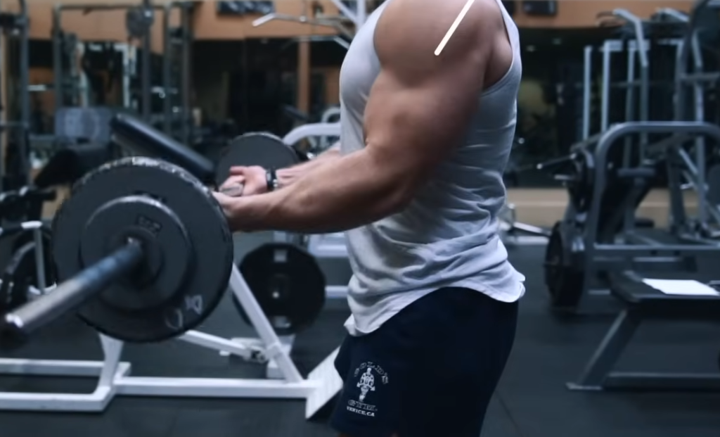 Choosing the Right Weight for Your Workout