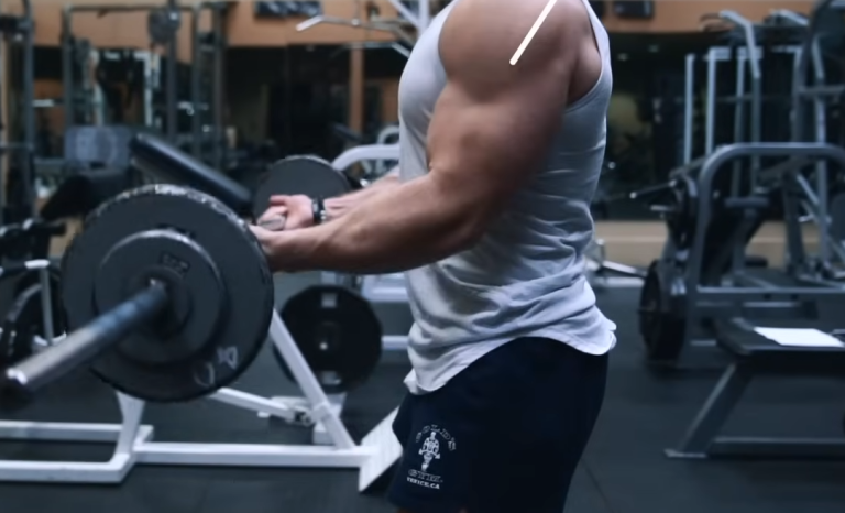 How Much Does a Preacher Curl Bar Weigh? - Rio Linda Fitness