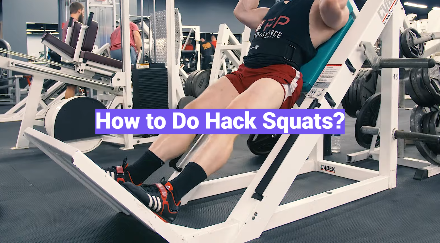 How to Do Hack Squats? - Rio Linda Fitness