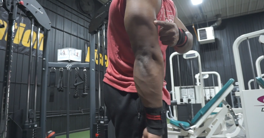 Anatomy of the Tricep Muscle