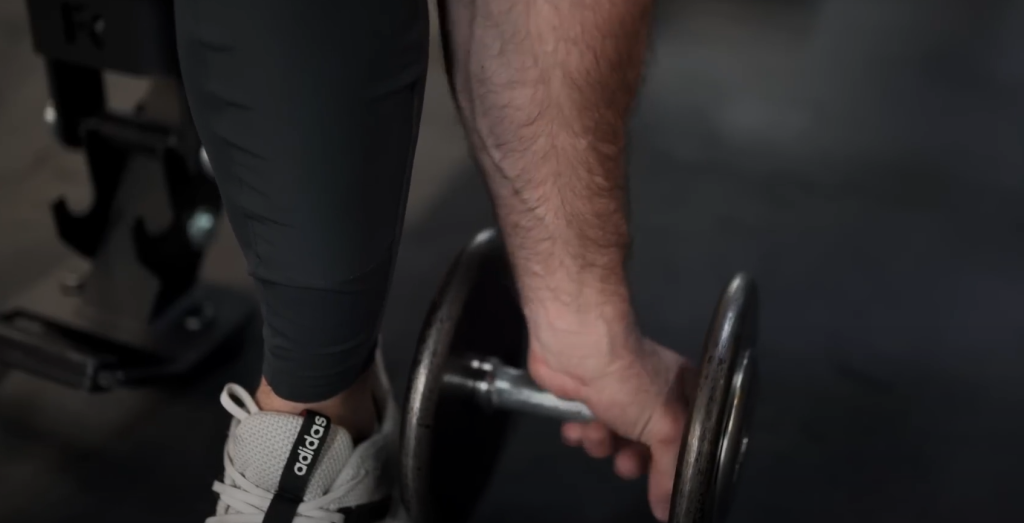 Anatomy of the Biceps