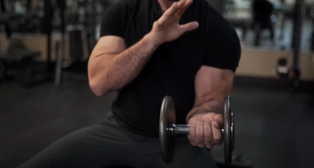 Anatomy of the Biceps