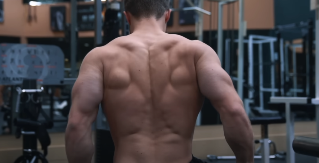 Top 20 Common Exercises for Strengthening the Medial Head Tricep Muscle and How to Perform Them