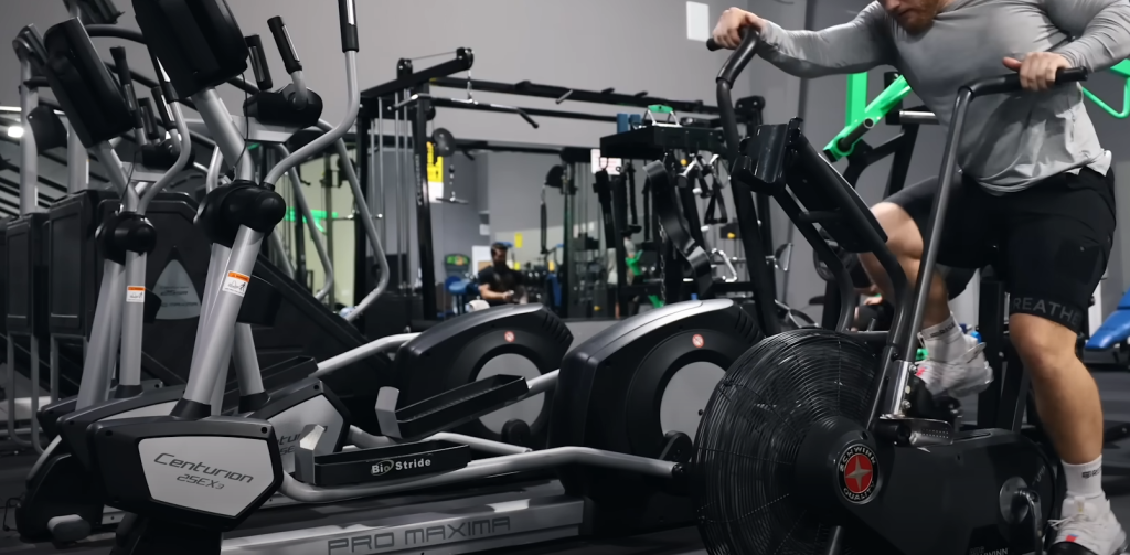 Muscle Groups Targeted by Stairmaster and Treadmill