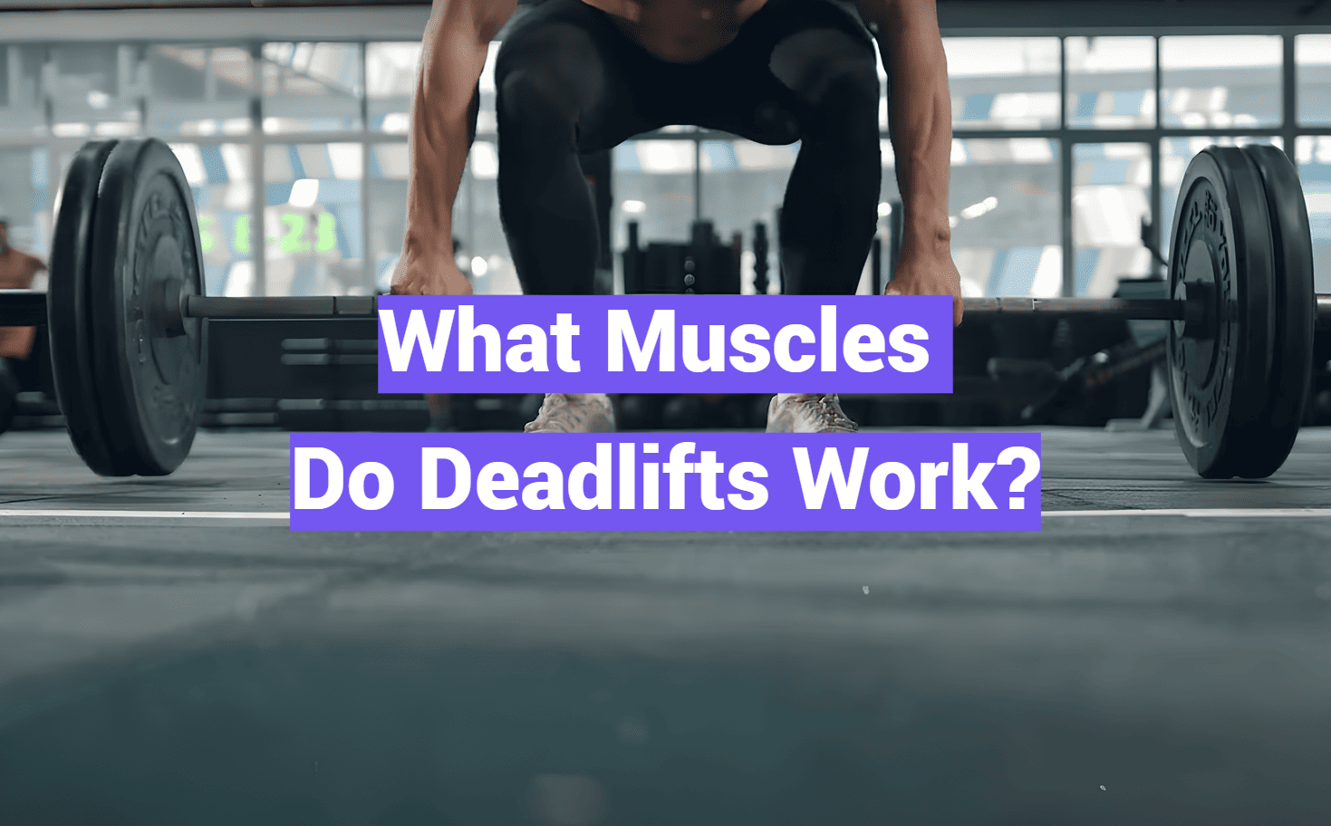 What Muscles Do Deadlifts Work?