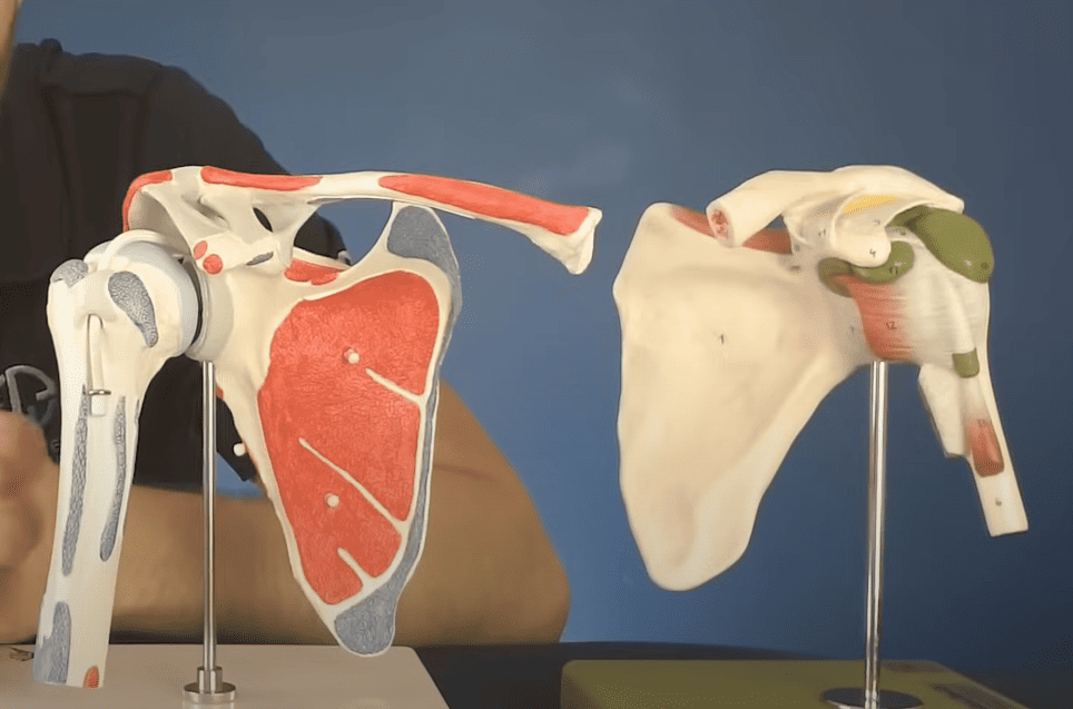 Understanding Frozen Shoulder: Causes and Phases