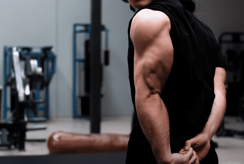 Introduction to Long Head Tricep Exercises