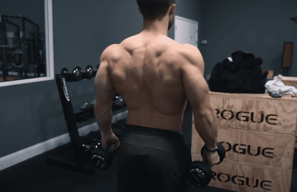 Understanding Triceps Anatomy